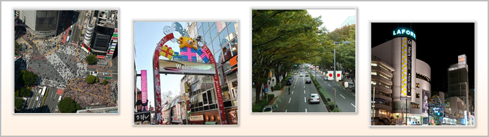 渋谷区の地勢の写真